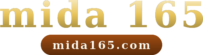 mida 165 logo